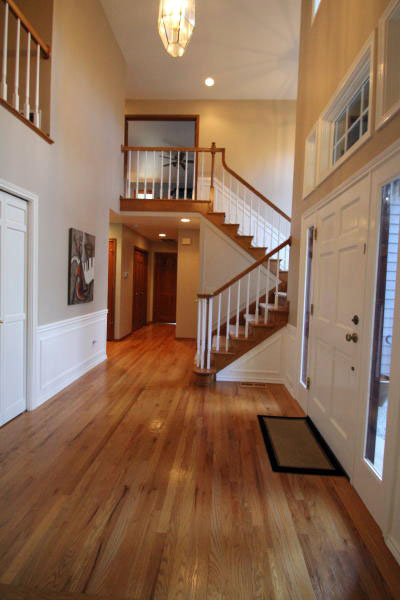 Lower level fireplace